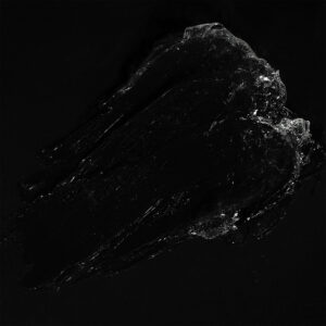 Shiny Wax - immagine 3